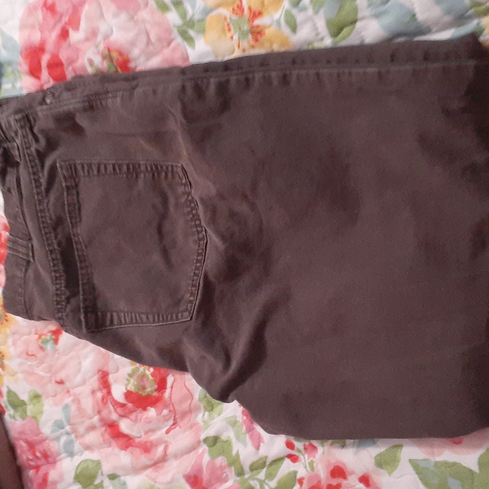Blue mountain pants